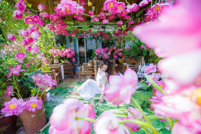 Trầm trồ trước các siêu phẩm cắm hoa trên sân thượng của cô gái Hà Nội - Ảnh 4.