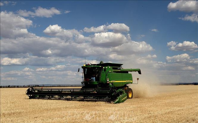 Thu hoạch lúa mạch tại New South Wales, Australia. Ảnh: AFP/TTXVN