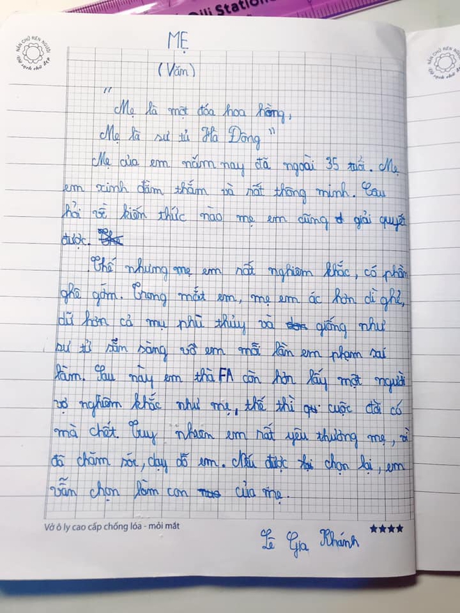 Cậu bé lớp 4 viết văn: Mẹ như sư tử. Sau này, em thà FA còn hơn lấy một người vợ nghiêm khắc như mẹ - Ảnh 1.