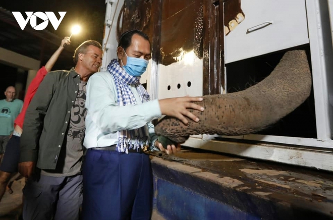 Chú voi cô đơn nhất thế giới đến nhà mới ở Campuchia với phí vận chuyển gần nửa triệu USD - Ảnh 5.