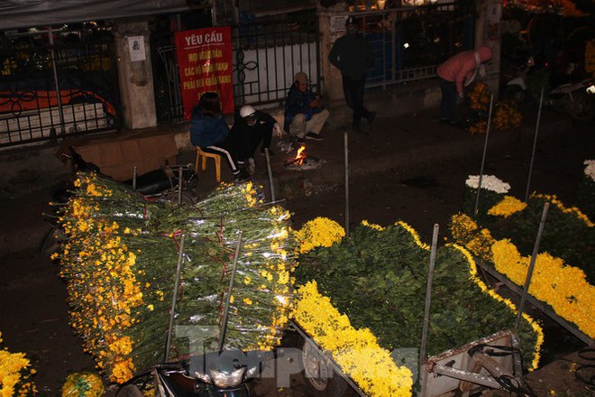 Nhọc nhằn mưu sinh trong giá lạnh ở chợ hoa lớn nhất Thủ đô - Ảnh 1.