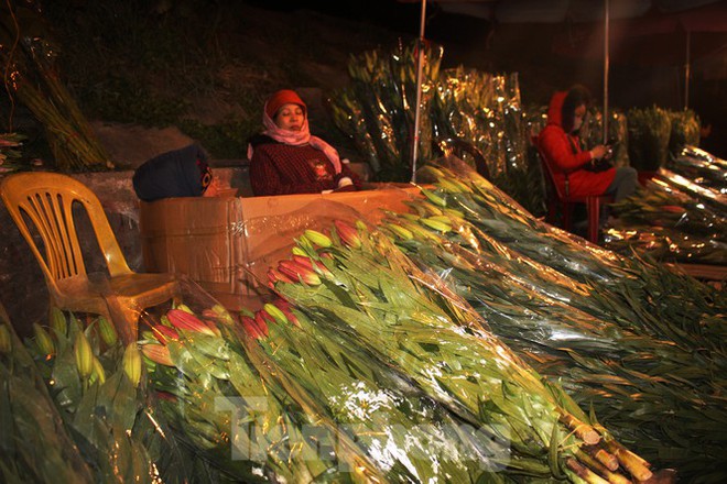 Nhọc nhằn mưu sinh trong giá lạnh ở chợ hoa lớn nhất Thủ đô - Ảnh 12.