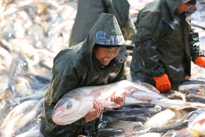 24h qua ảnh: Nông dân thu hoạch cá mùa đông ở Trung Quốc - Ảnh 2.