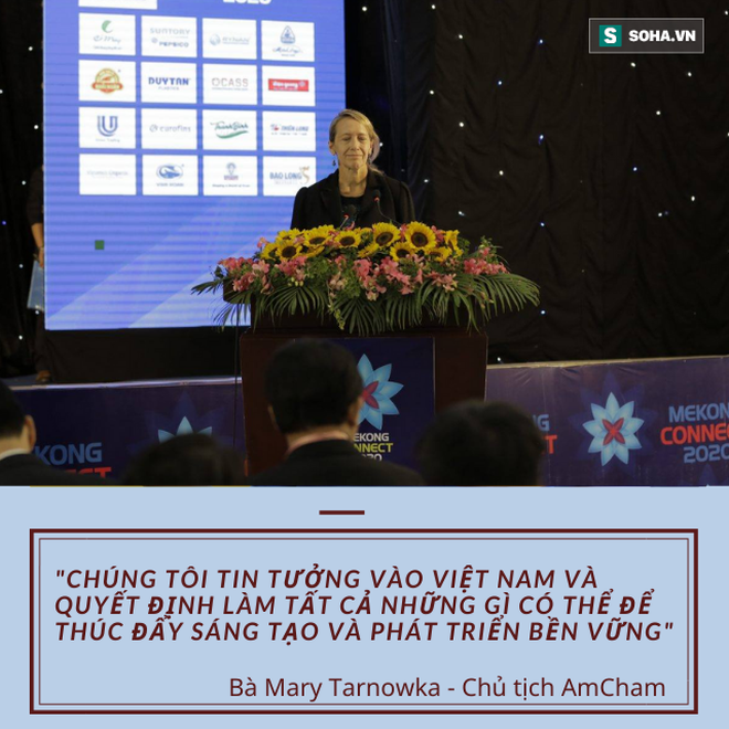 Chủ tịch Amcham: Các doanh nghiệp của Mỹ đang háo hức đầu tư vào năng lượng tái tạo tại đồng bằng Sông Cửu Long - Ảnh 3.