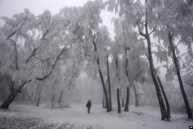 24h qua ảnh: Người đàn ông đi dạo dưới tuyết phủ trắng ở Hungary - Ảnh 6.
