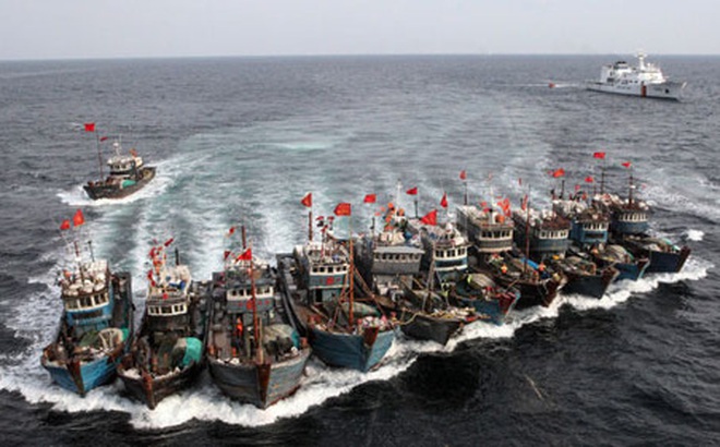 Một đội tàu cá Trung Quốc hoạt động trên biển. Ảnh: Reuters.