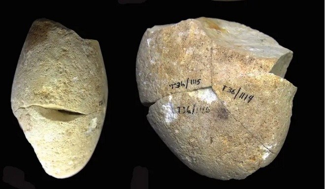 Phát hiện công cụ mài bằng đá lâu đời nhất lịch sử nhân loại - Ảnh 1.