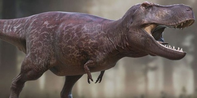 Top 10 sự thật ít người biết về loài khủng long ăn thịt đáng sợ nhất thế giới - Ảnh 2.