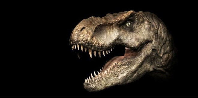 Top 10 sự thật ít người biết về loài khủng long ăn thịt đáng sợ nhất thế giới - Ảnh 4.