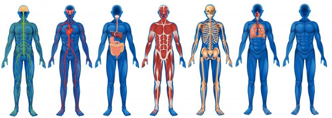 Bí quyết Đông y độc đáo: Thực hành Tứ tiêu để làm khỏe cơ thể, trẻ hóa, kéo dài tuổi thọ - Ảnh 2.