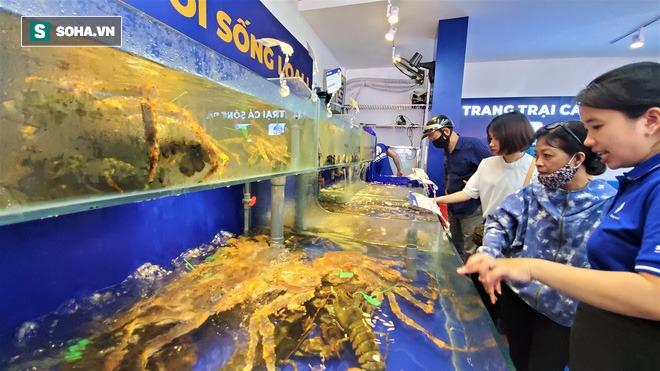 Chen chân mua hải sản giảm sốc 50%, tôm hùm 640.000 đồng/kg, ghẹ xanh 500.000 đồng/kg - Ảnh 7.
