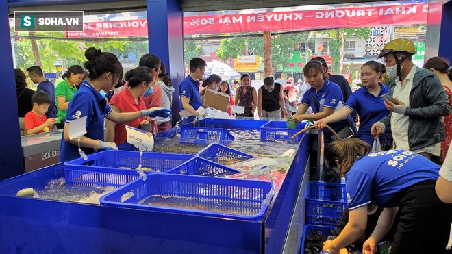 Chen chân mua hải sản giảm sốc 50%, tôm hùm 640.000 đồng/kg, ghẹ xanh 500.000 đồng/kg - Ảnh 1.
