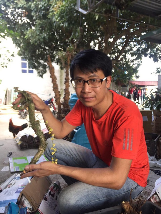 Sở hữu đến 200 giò lan nhưng người đàn ông ở Ninh Bình cứ cuối tuần bỏ cả kinh doanh nhà hàng vào rừng để săn giống, còn tặng miễn phí cho những người chơi có cùng sở thích - Ảnh 7.