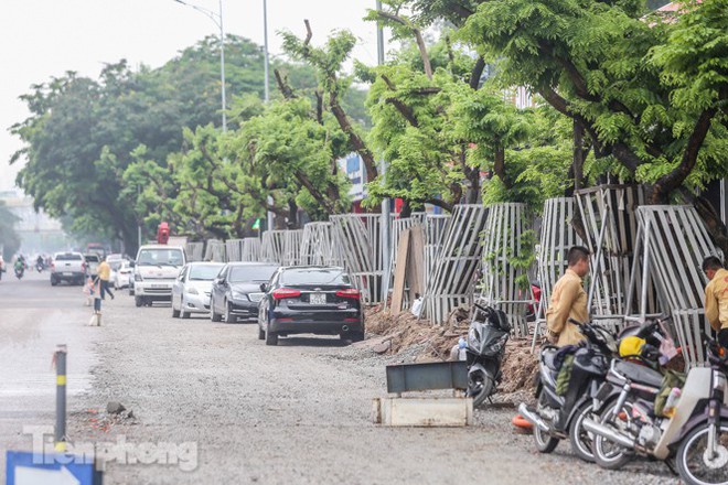 Lo ngại mất trộm, Hà Nội mặc áo giáp sắt cho hàng sưa đỏ - Ảnh 4.