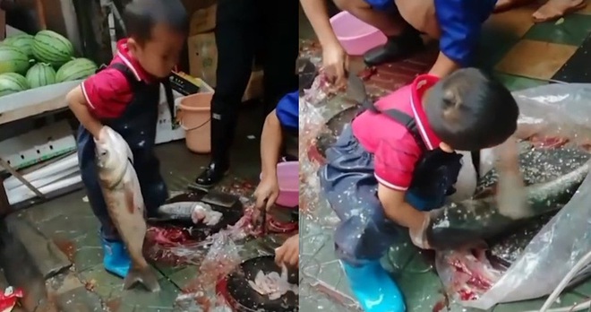 Hình ảnh cậu bé 7 tuổi ngồi giữa chợ sơ chế cá với tay nghề lão luyện gây tranh cãi dữ dội - Ảnh 2.