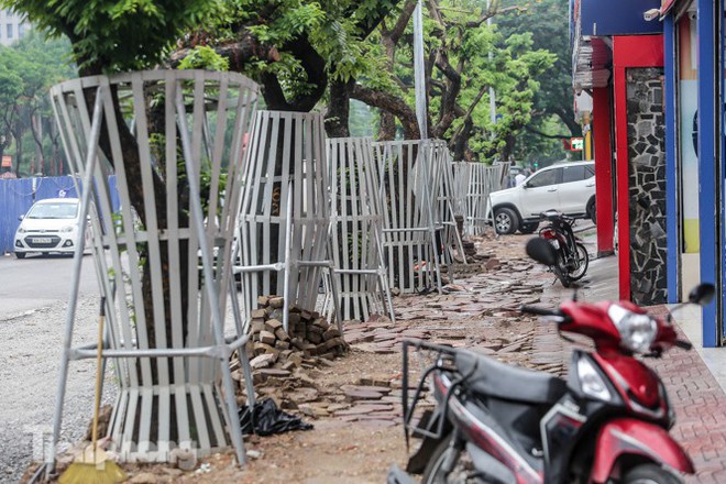 Lo ngại mất trộm, Hà Nội mặc áo giáp sắt cho hàng sưa đỏ - Ảnh 6.