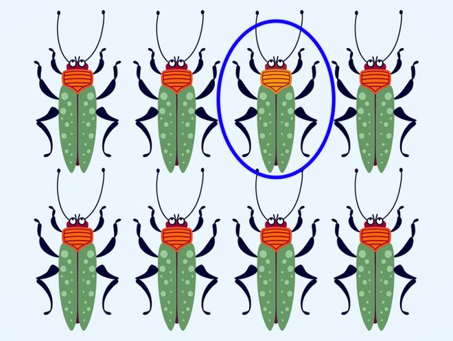 Thử độ tinh tường của thị giác: Bạn có thể tìm ra con bọ khác màu trong từng ảnh không? - Ảnh 21.