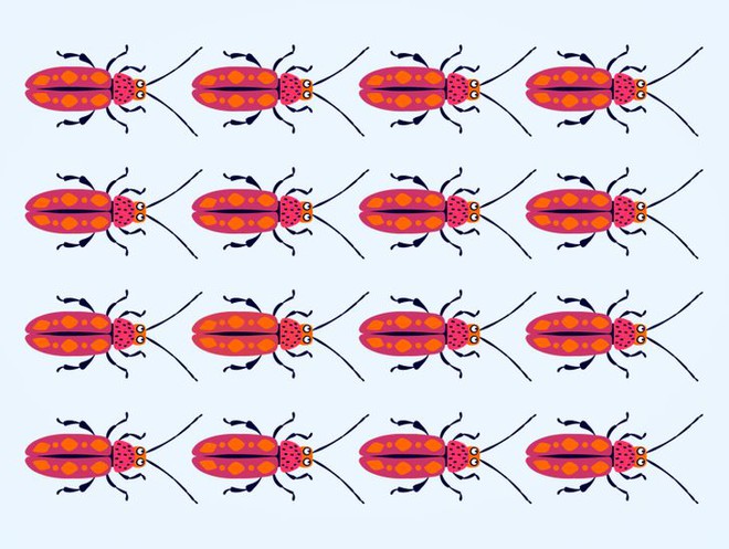 Thử độ tinh tường của thị giác: Bạn có thể tìm ra con bọ khác màu trong từng ảnh không? - Ảnh 13.