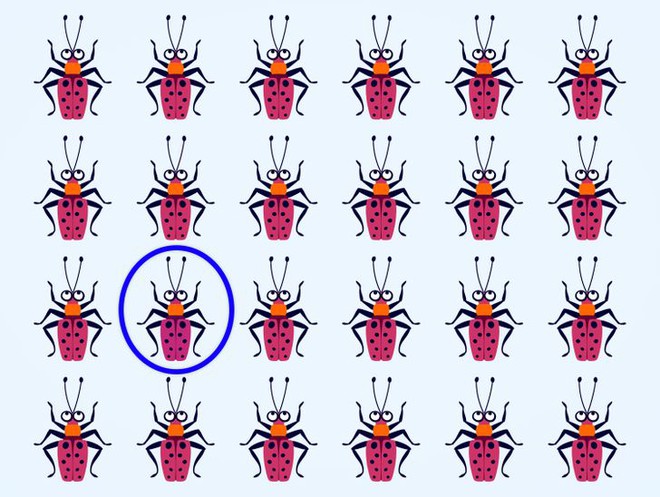 Thử độ tinh tường của thị giác: Bạn có thể tìm ra con bọ khác màu trong từng ảnh không? - Ảnh 27.