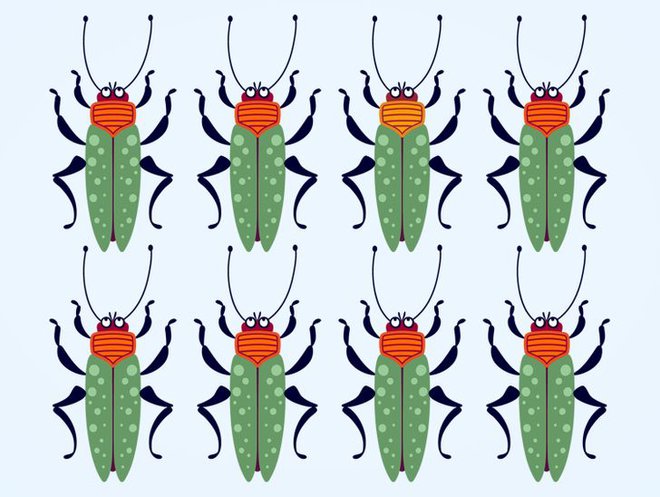 Thử độ tinh tường của thị giác: Bạn có thể tìm ra con bọ khác màu trong từng ảnh không? - Ảnh 6.
