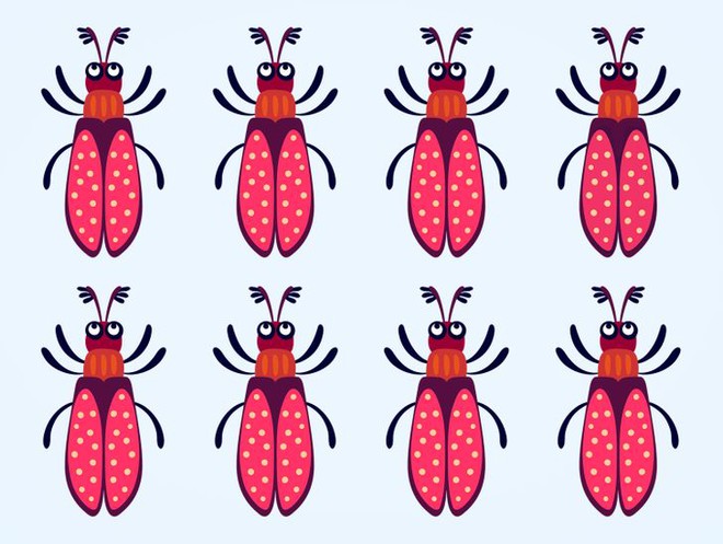 Thử độ tinh tường của thị giác: Bạn có thể tìm ra con bọ khác màu trong từng ảnh không? - Ảnh 2.
