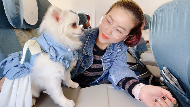 Sở thích tốn kém của diễn viên Kiều Linh, chi gần 13 triệu chỉ để cún cưng đi máy bay - Ảnh 7.