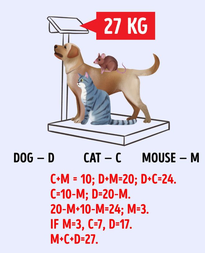 Vận dụng hết thị giác tinh nhanh và trí thông minh cũng không dễ trả lời bức tranh này! - Ảnh 11.