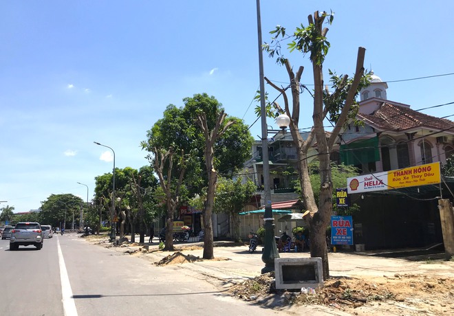Hàng loạt cây xanh ở thành phố Vinh bị cắt trụi trong nắng nóng đỉnh điểm - Ảnh 11.