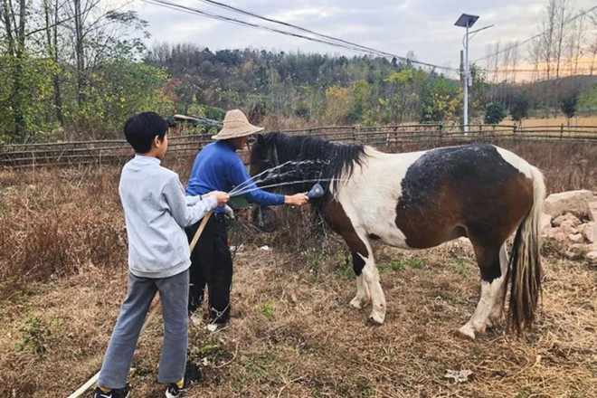 Người cựu chiến binh quyết định an hưởng tuổi già khi bỏ thành phố lớn về sống cuộc đời bình dị bên ruộng vườn - Ảnh 27.