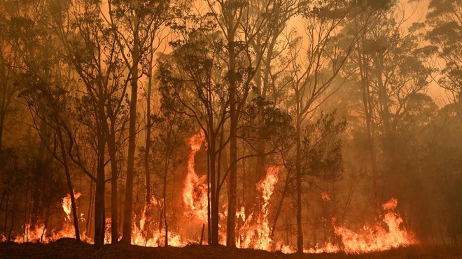 Bức ảnh chụp khói cháy rừng ở Mỹ dài 100km nhìn từ không gian của NASA gây sốc - Ảnh 5.