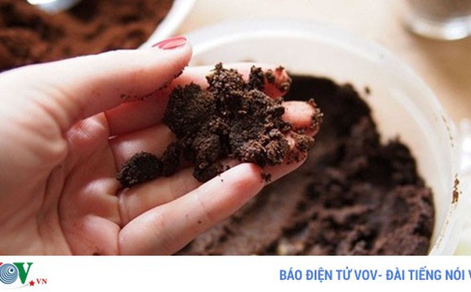Bất ngờ với những công dụng từ bã cà phê