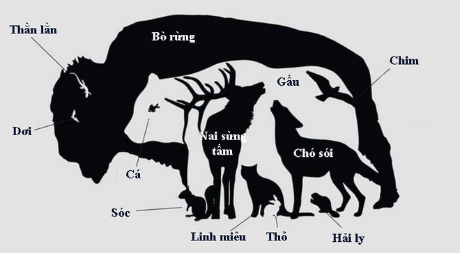 Phải rất tinh mắt, tưởng tượng phong phú mới nhìn thấy 12 con vật trong hình này! - Ảnh 1.