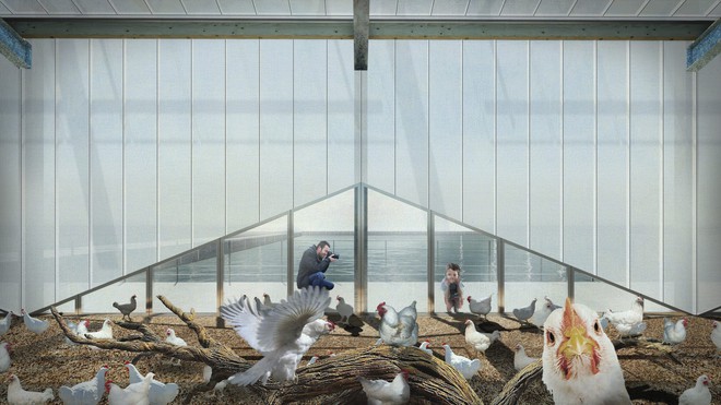 Ngỡ ngàng trước trang trại gà nổi trên mặt nước ở Hà Lan - Ảnh 7.