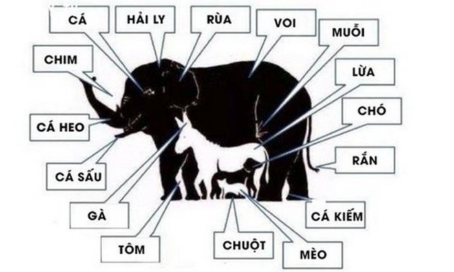 Kiểm tra iq với 5 câu hỏi iq hình ảnh có đáp án chuẩn nhất hiện nay