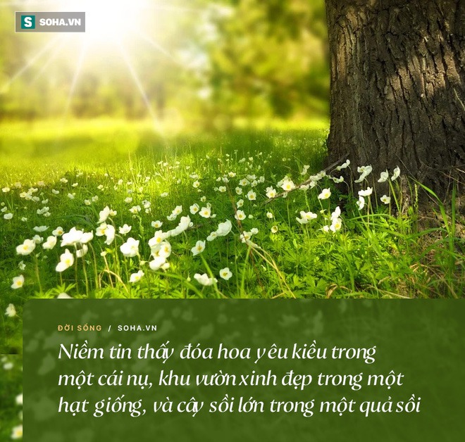 Vì sao chúng ta phải sống? và 3 đáp án khiến nhiều người phải tự ngẫm lại mình - Ảnh 1.