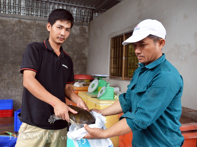 Bạc Liêu: Trang trại cua đinh trong bể kính hiện đại bậc nhất miền Tây, thu tiền tỷ mỗi năm - Ảnh 9.