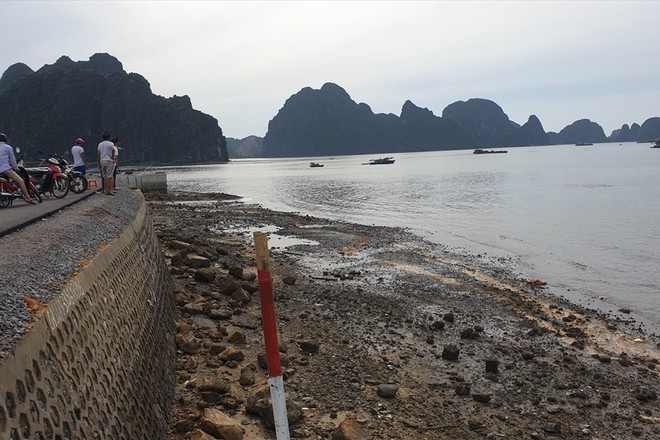 Xe ô tô lao xuống biển Hạ Long trong đêm: 1 người lớn và 2 trẻ em đã tử vong, xe ô tô hư hỏng nặng - Ảnh 2.