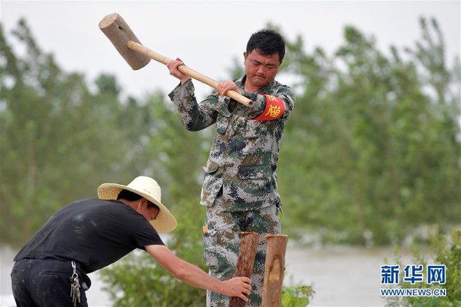 TQ: Vì sao mới đầu mùa lũ mà đã liên tục vỡ đê? - Ảnh 4.