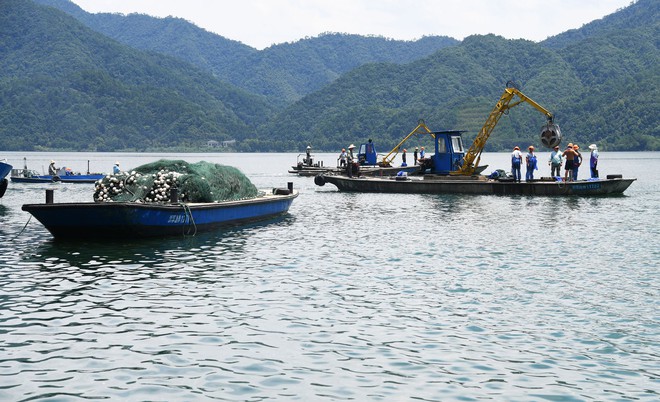 Trung Quốc: Đập thủy điện xả lũ, bội thu 25.000kg cá mè hoa - Ảnh 2.