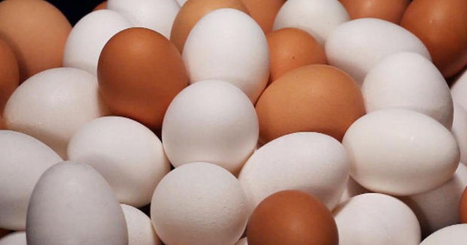 Vì sao trứng gà Mỹ bị đánh giá thấp và những sự thật đáng kinh ngạc đằng sau - Ảnh 5.