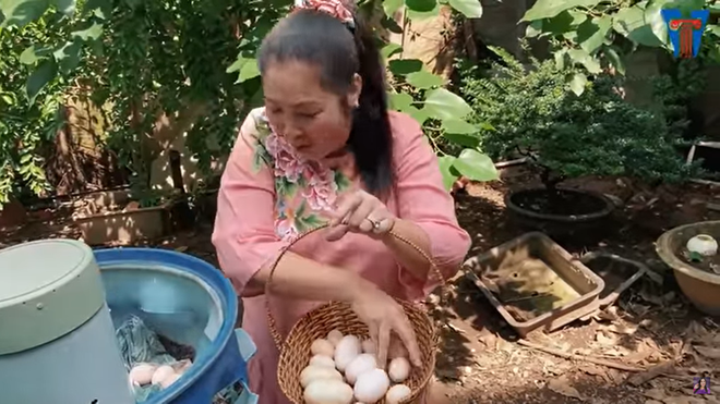 NSND Hồng Vân tiết lộ nơi bí mật, chưa bao giờ khoe ai trong biệt thự giữa lòng Sài Gòn - Ảnh 6.