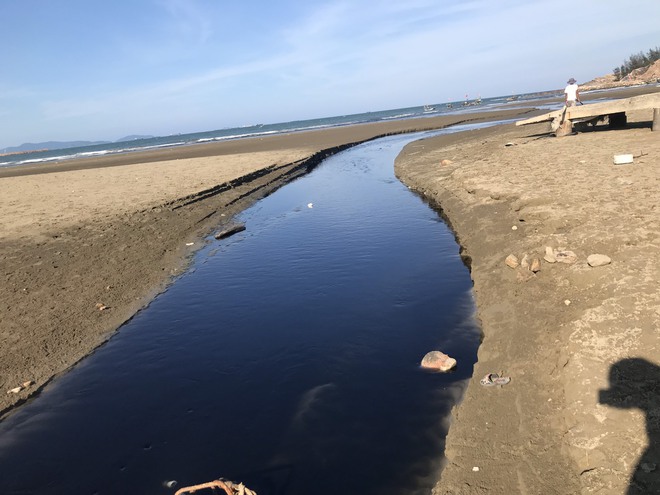 Kinh hãi với kênh nước thải đen ngòm hôi thối, xả thẳng ra biển của trại nuôi tôm ở Nghệ An - Ảnh 7.