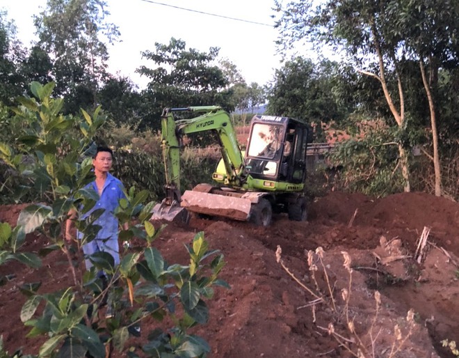 Lợn nuôi chết hàng loạt vì dịch tai xanh, nhiều chủ trang trại tố do công ty bán lợn giống - Ảnh 3.