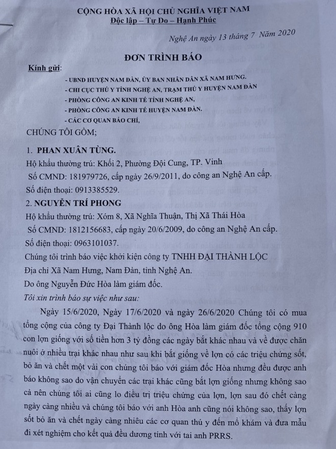 Lợn nuôi chết hàng loạt vì dịch tai xanh, nhiều chủ trang trại tố do công ty bán lợn giống - Ảnh 1.