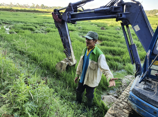 Đất Xanh Quảng Ngãi ngang nhiên dùng máy xúc lấp đất ruộng khi chưa được giao đất - Ảnh 3.