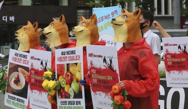 Tổ chức đám tang giả để phản đối ngày ăn thịt chó tại Hàn Quốc - Ảnh 1.