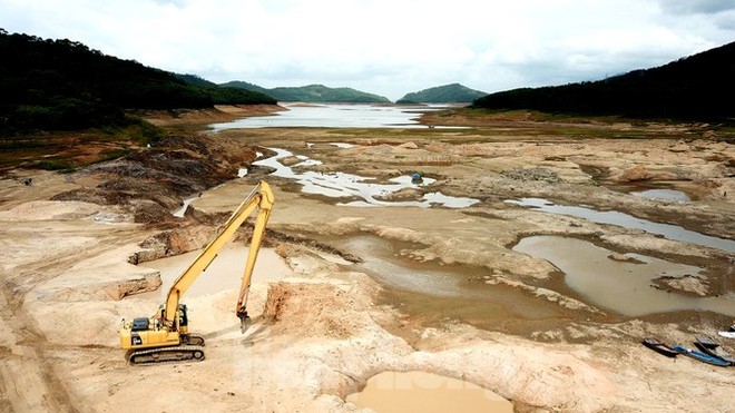 Điều chưa từng xảy ra ở hồ nước ngọt lớn nhất Quảng Ninh: Bò dạo chơi giữa lòng hồ - Ảnh 7.