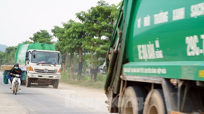 Hàng trăm cây hoa sữa sau một năm được trồng trên bãi rác Nam Sơn giờ ra sao? - Ảnh 7.