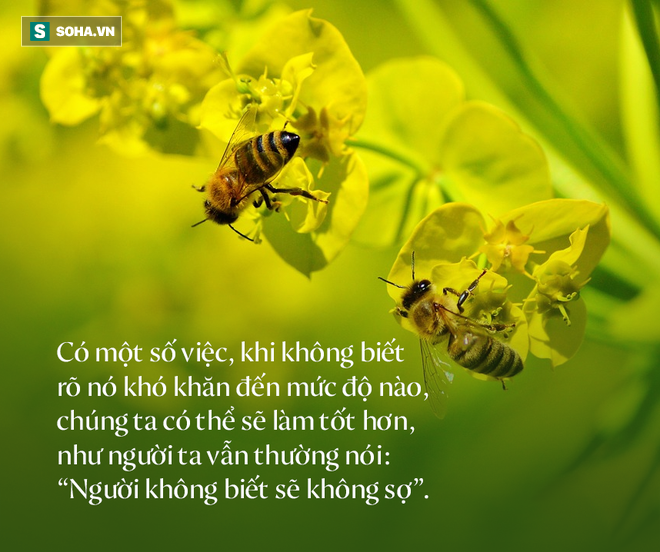 Mất cả đêm để hoàn thành 1 bài toán, cậu sinh viên khiến thầy giáo kinh ngạc khi nhìn vào đáp án - Ảnh 4.