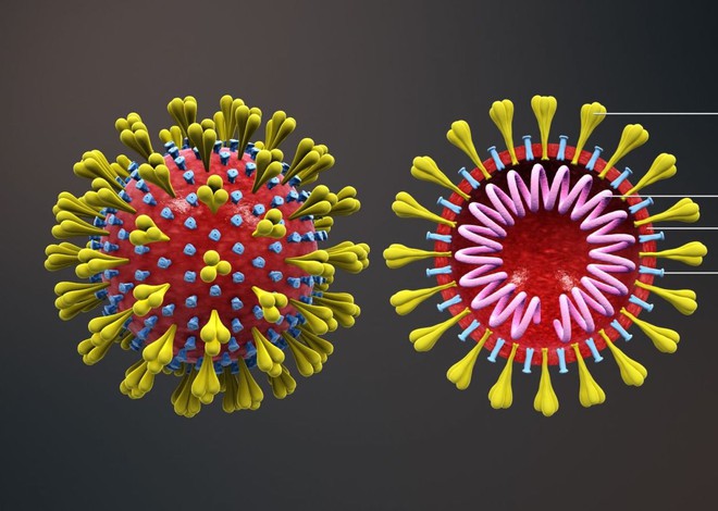 Tiến sĩ tại BV Nhi số 1 tại Mỹ phát hiện: Virus SARS-CoV-2 thay đổi hình dạng để qua mặt hệ miễn dịch! - Ảnh 2. Tiến sĩ tại BV Nhi số 1 tại Mỹ phát hiện: Virus SARS-CoV-2 thay đổi hình dạng để qua mặt hệ miễn dịch! - Ảnh 2.